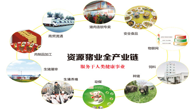 J9国际站备用【唯一】官方网站