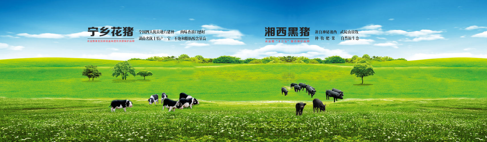 J9国际站备用【唯一】官方网站
